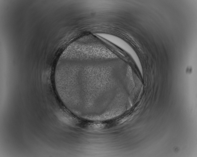 X0000099470217200805301603