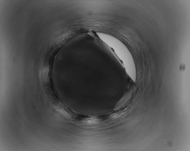 X0000099470219200805301603