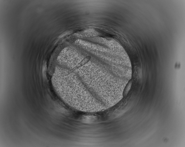 X0000099470220200805301603