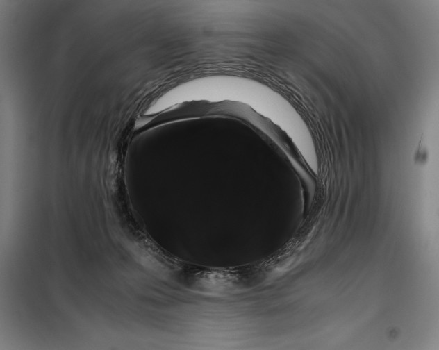 X0000099470223200805301603