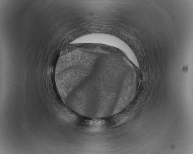 X0000099470225200805301603