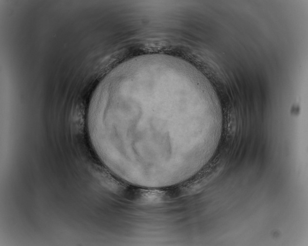 X0000099470226200805301603