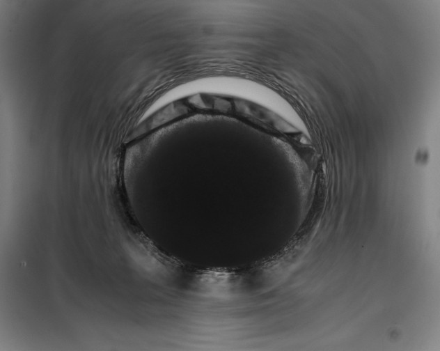 X0000099470227200805301603