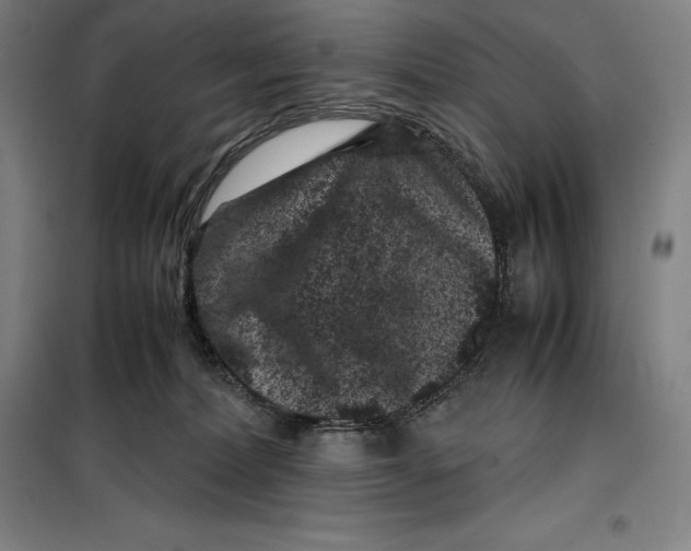 X0000099470228200805301603