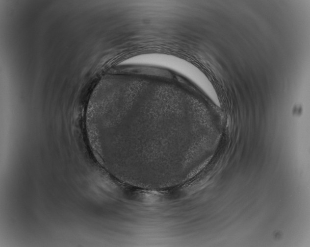 X0000099470229200805301603