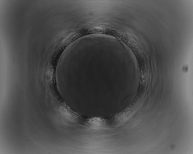 X0000099470231200805301603