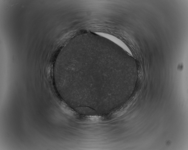 X0000099470233200805301603