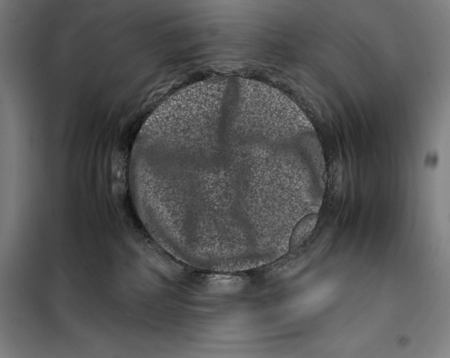 X0000099470234200805301603