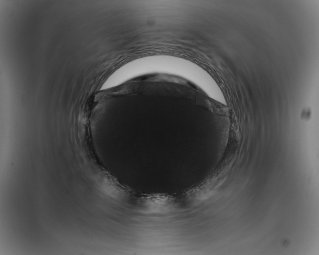 X0000099470235200805301603