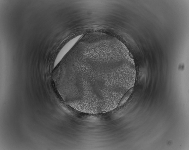 X0000099470236200805301603