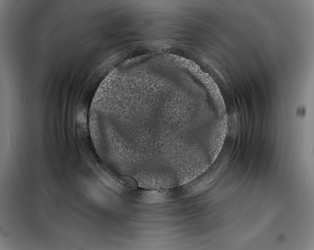 X0000099470238200805301603