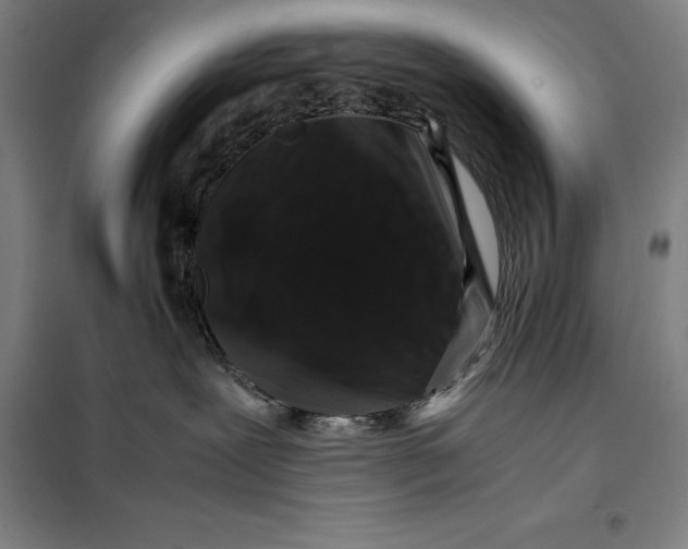 X0000099470239200805301603