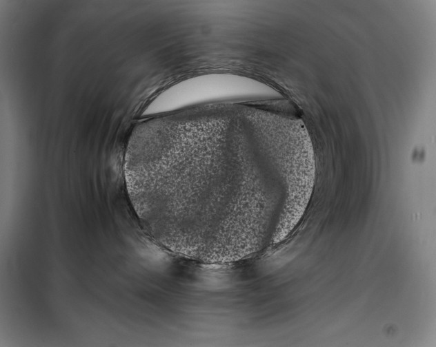 X0000099470240200805301603