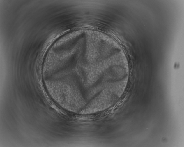 X0000099470241200805301602