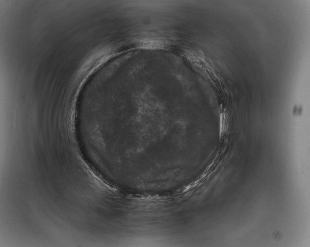 X0000099470243200805301602