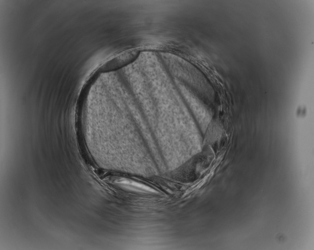 X0000099470244200805301602