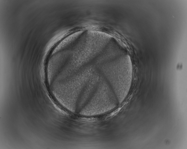 X0000099470245200805301602