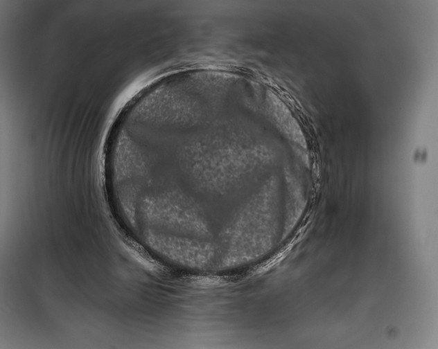 X0000099470246200805301602