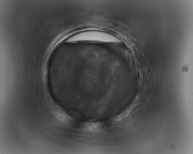 X0000099470247200805301602