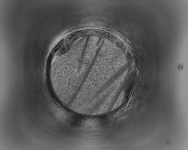 X0000099470248200805301602