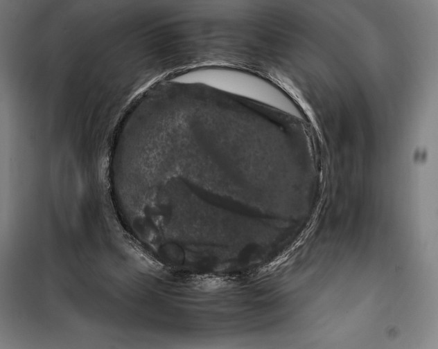 X0000099470249200805301602