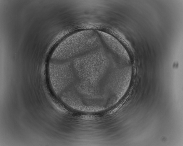 X0000099470250200805301602