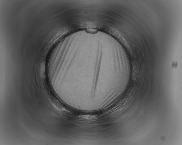 X0000099470251200805301602