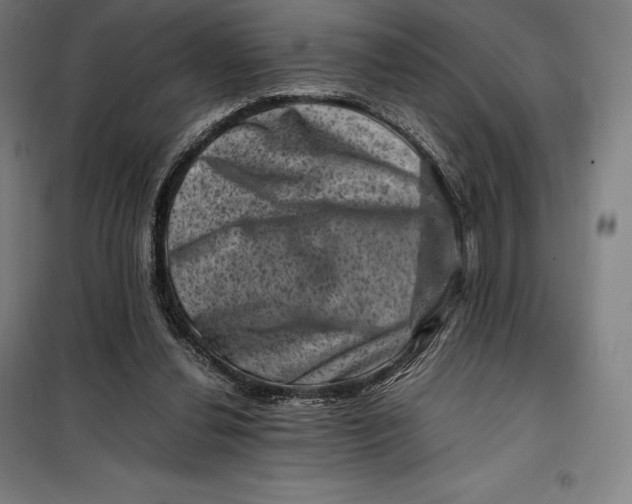 X0000099470252200805301602