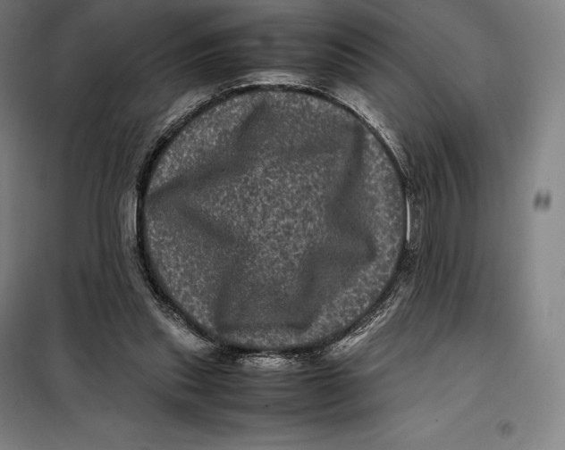 X0000099470253200805301602