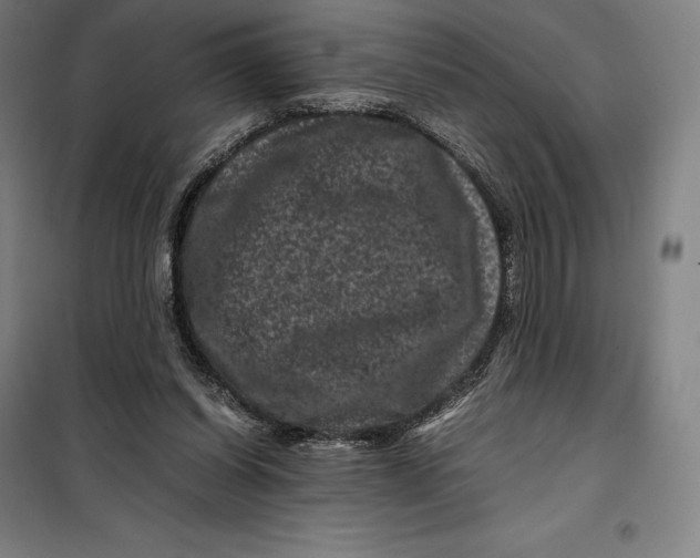 X0000099470254200805301602