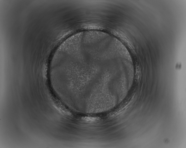 X0000099470255200805301602