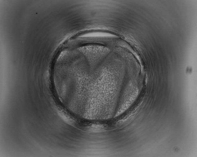 X0000099470256200805301602