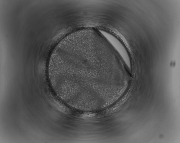 X0000099470257200805301602