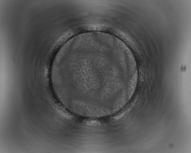 X0000099470258200805301602