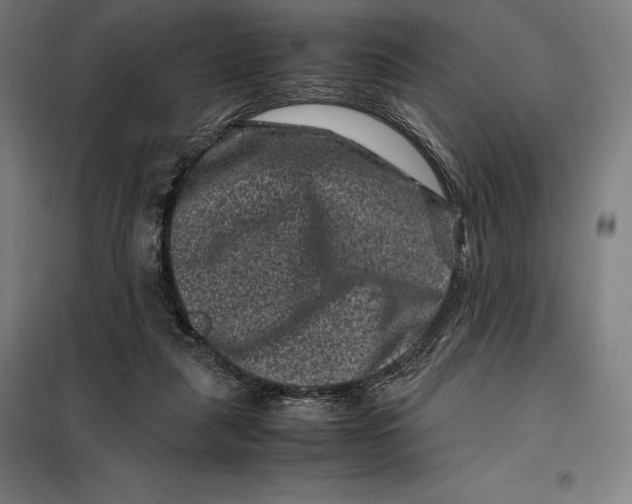 X0000099470259200805301602