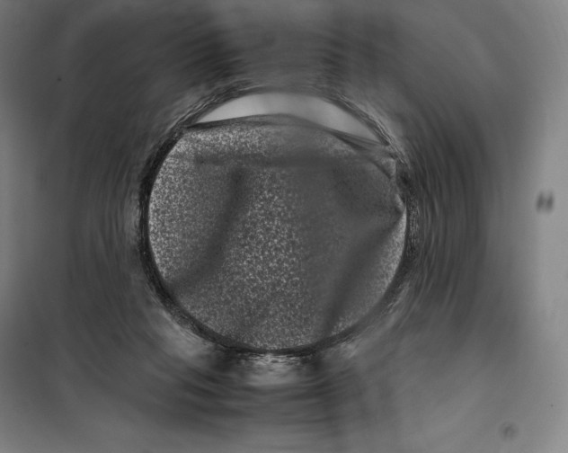 X0000099470261200805301602