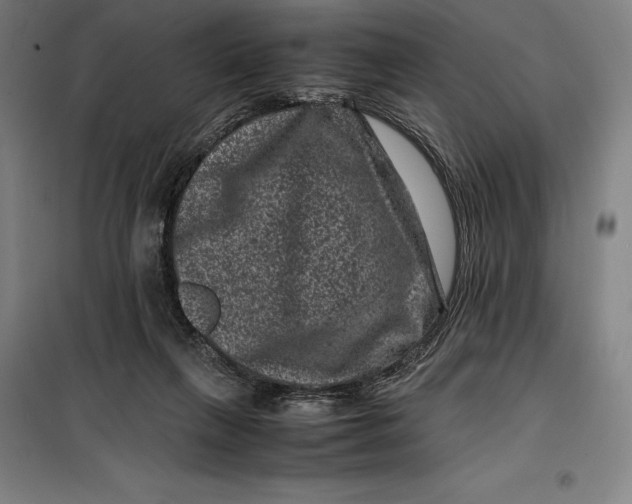 X0000099470263200805301602