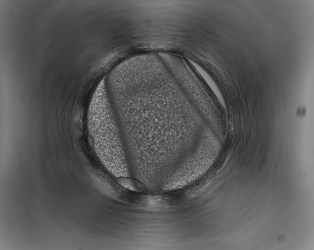 X0000099470264200805301602