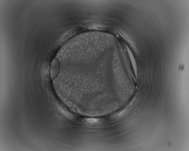 X0000099470265200805301602