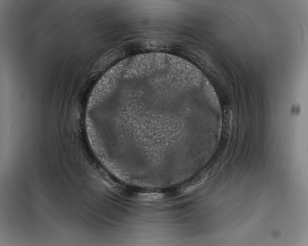 X0000099470266200805301602