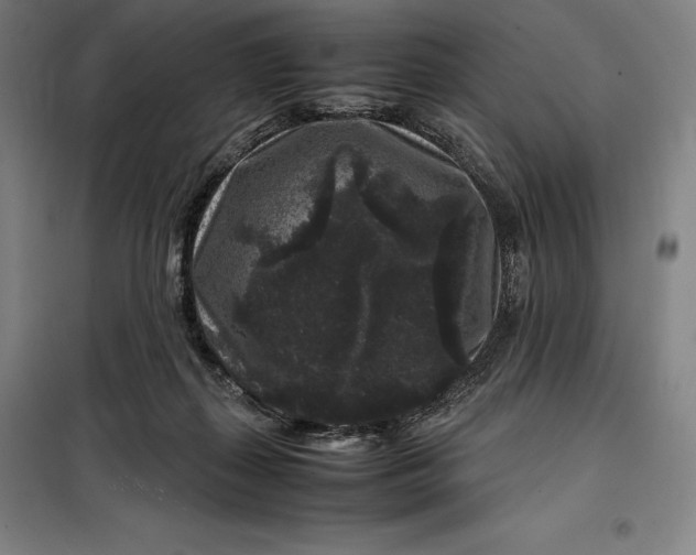 X0000099470267200805301603