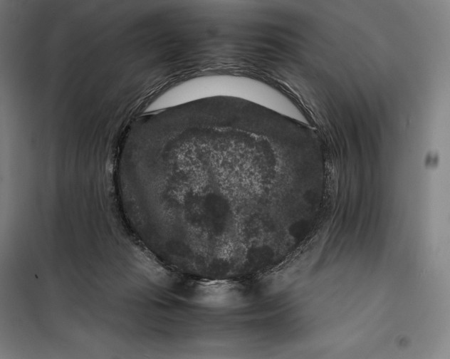 X0000099470269200805301603