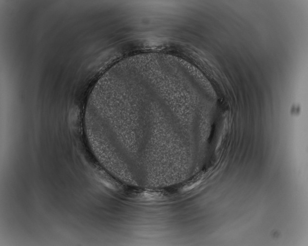 X0000099470270200805301603