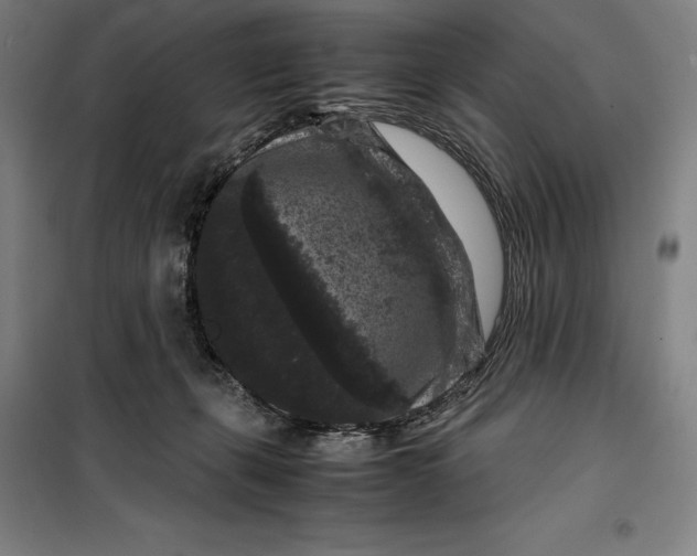 X0000099470271200805301603