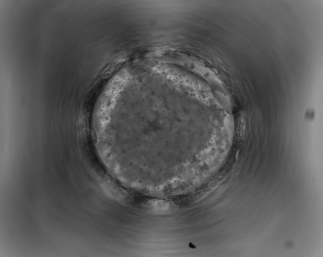 X0000099470272200805301603