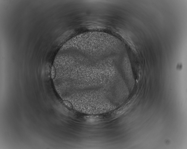 X0000099470273200805301603