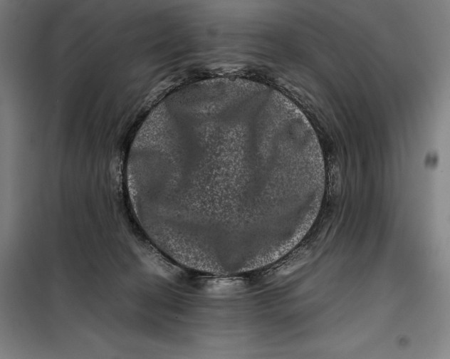 X0000099470274200805301603