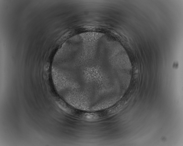 X0000099470275200805301603