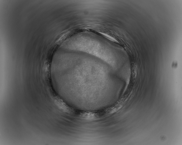 X0000099470276200805301603