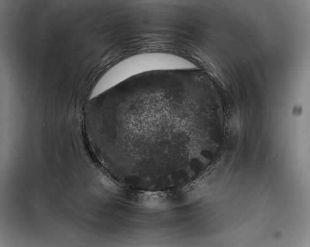 X0000099470277200805301603